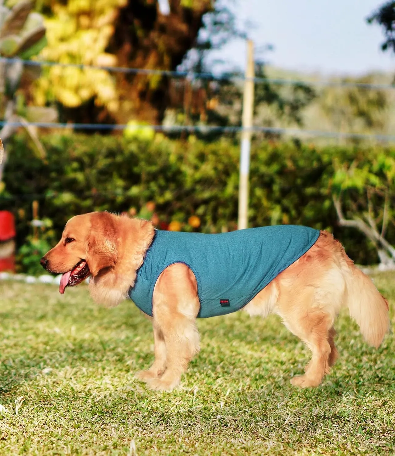 2 Pack Dog Shirts, Quick Dry Lightweight Dog T-Shirts Sleeveless Vest, Breathable Pet Clothes Tank Top for Large Medium Dogs, Mint Blue Orange Yellow (L)