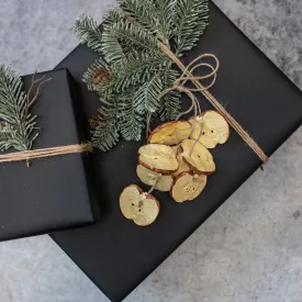 Apple Slices Hanging Ornament