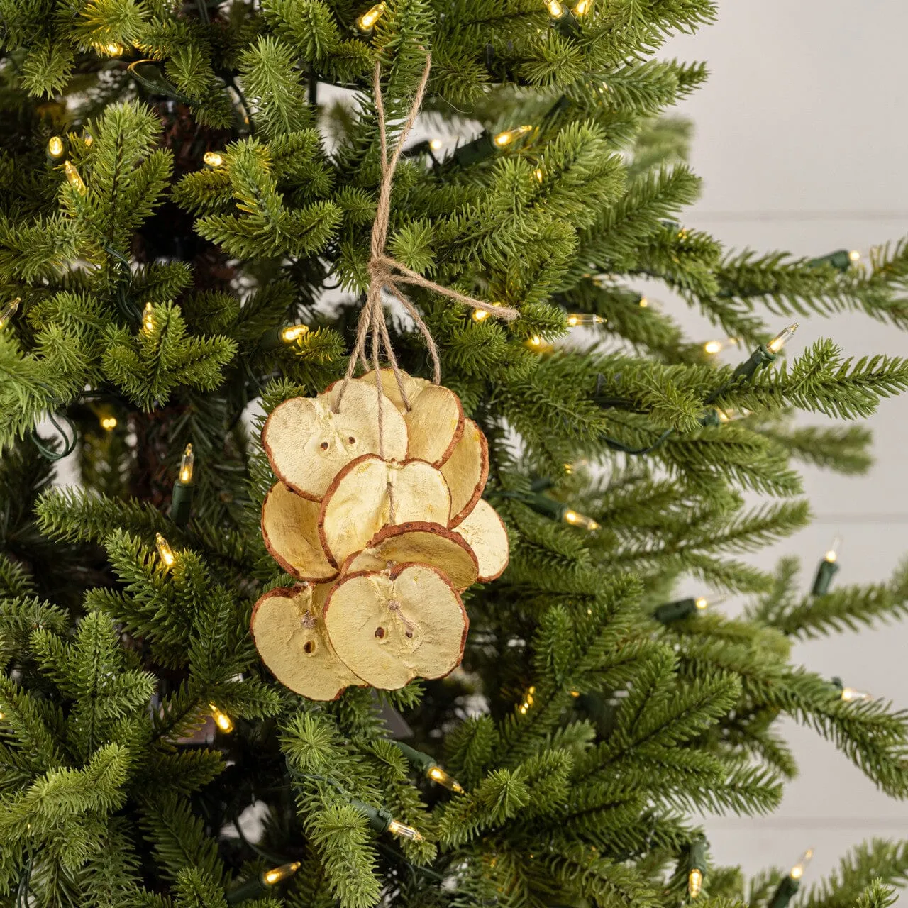 Apple Slices Hanging Ornament