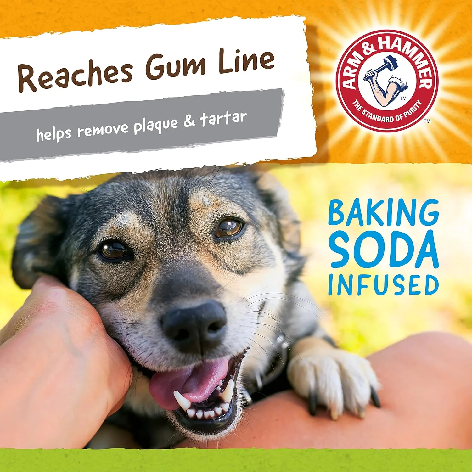 Arm & Hammer for Pets Nubbies Duality Bone Dental Dog Toy - Best Dog Chew Toy for Moderate Chewers - Helps Reduce Plaque & Tartar - Green Apple Flavor Baking Soda (Pack of 8)