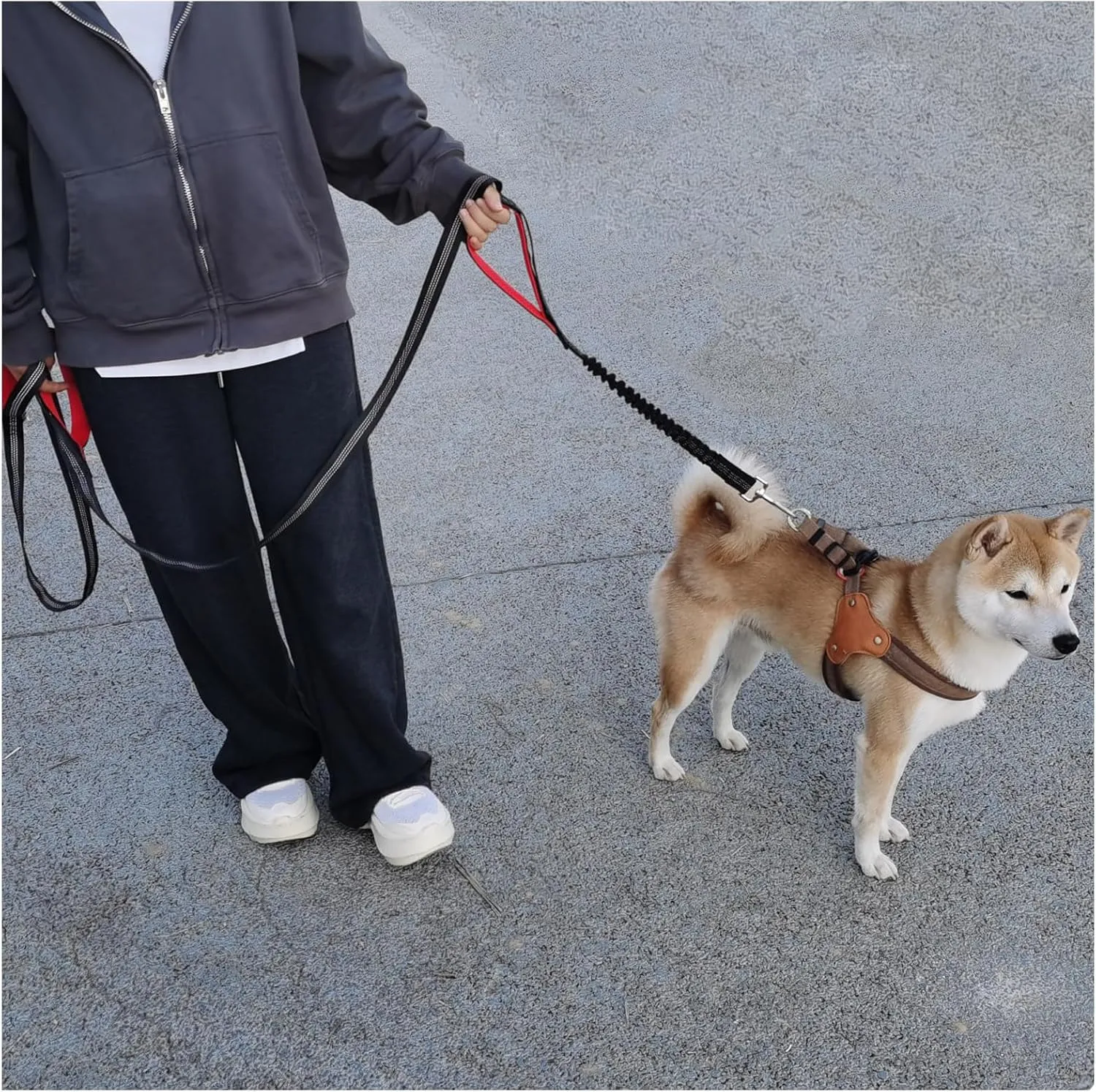 BTINESFUL 8ft Dog Leash with 3 Handles, Triple Handle, Reflective, Shork Absorbing Bungee, Control & Safety Training for Large Medium Dogs (Black)