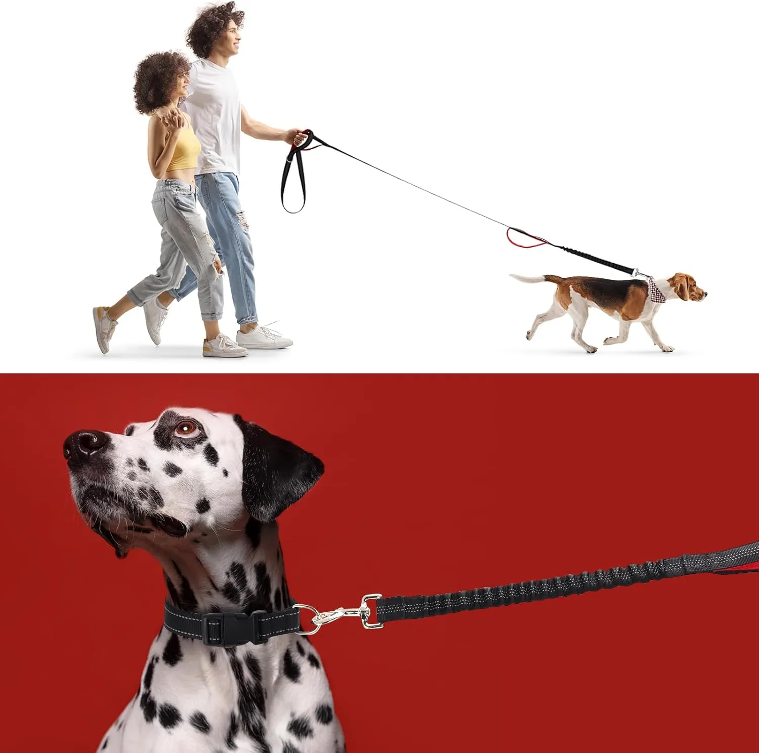 BTINESFUL 8ft Dog Leash with 3 Handles, Triple Handle, Reflective, Shork Absorbing Bungee, Control & Safety Training for Large Medium Dogs (Black)