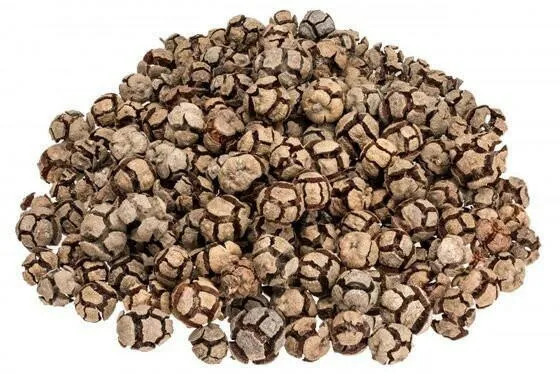 Cypress Cones
