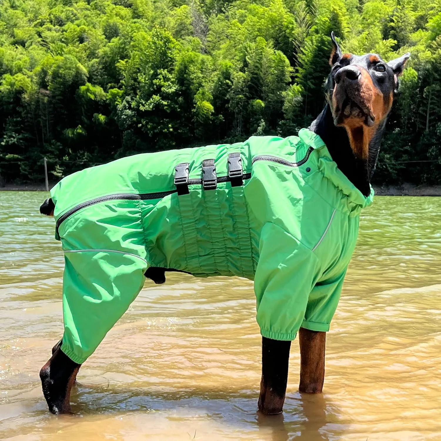 Dogs Waterproof Jacket, Lightweight Waterproof Jacket Reflective Safety Dog Raincoat Windproof Snow-Proof Dog Vest for Small Medium Large Dogs Green S