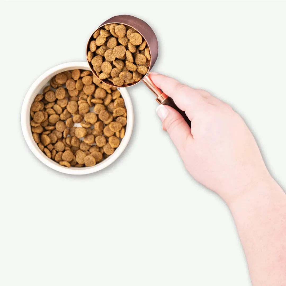 EARTHBORN WEIGHT CONTROL GRAIN FREE