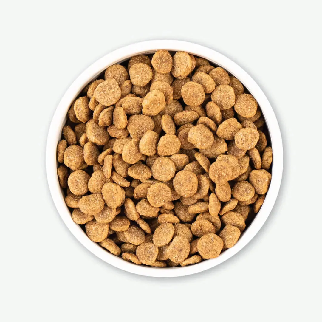 EARTHBORN WEIGHT CONTROL GRAIN FREE