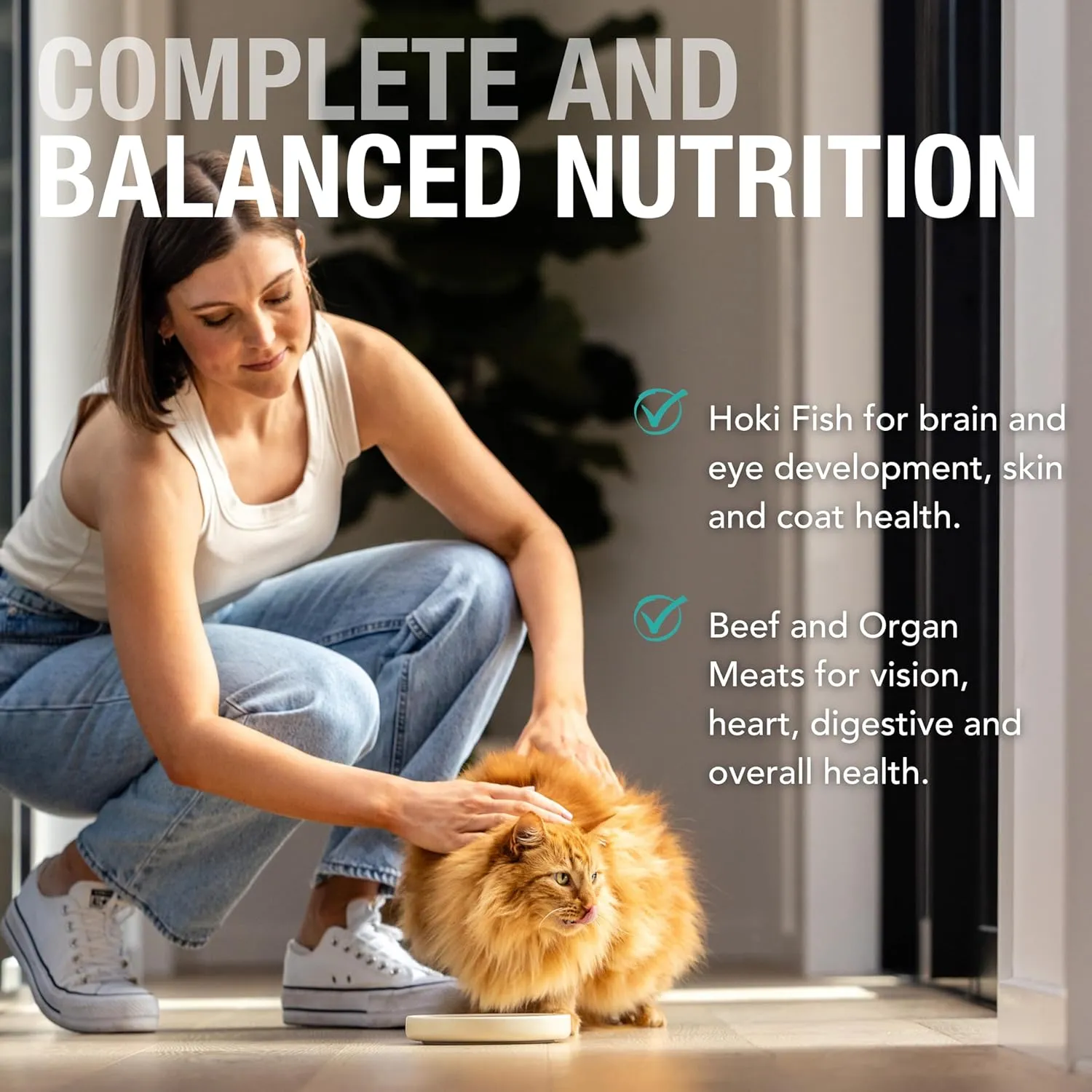 Feline Natural Wet Cat Food Pouch - Hoki & Beef Feast, Grain-Free, Grass-Fed & Sustainably Sourced, Made in New Zealand, 3oz Pate, 12 Count Pack