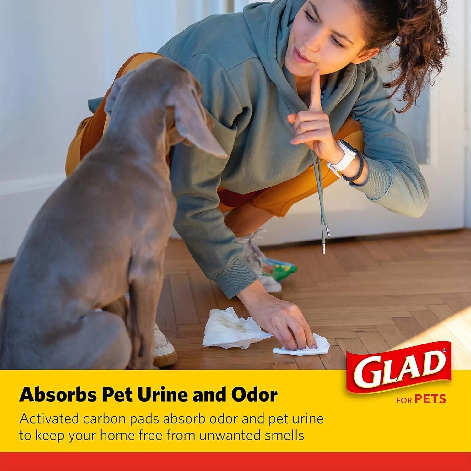 for Pets Black Charcoal Puppy Pads - Super Absorbent Disposable Dog Pee Pads, Potty Training Pads, and Pet Supplies - Dog Pee Pads for Crate Training and Indoor Use 23" X 23" - 50 Count - 4 Pack