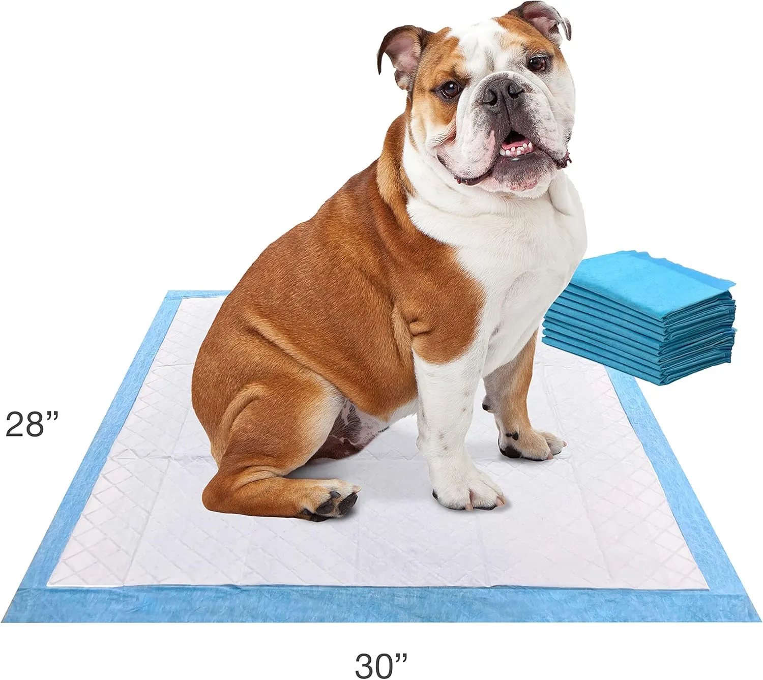 Four Paws Wee-Wee Odor Control with Febreze Freshness Pee Pads for Dogs & Puppies, Leak-Proof Dog Housebreaking Potty Training Floor Protection, Spring Fresh Scent, 22" x 23", 10 Count
