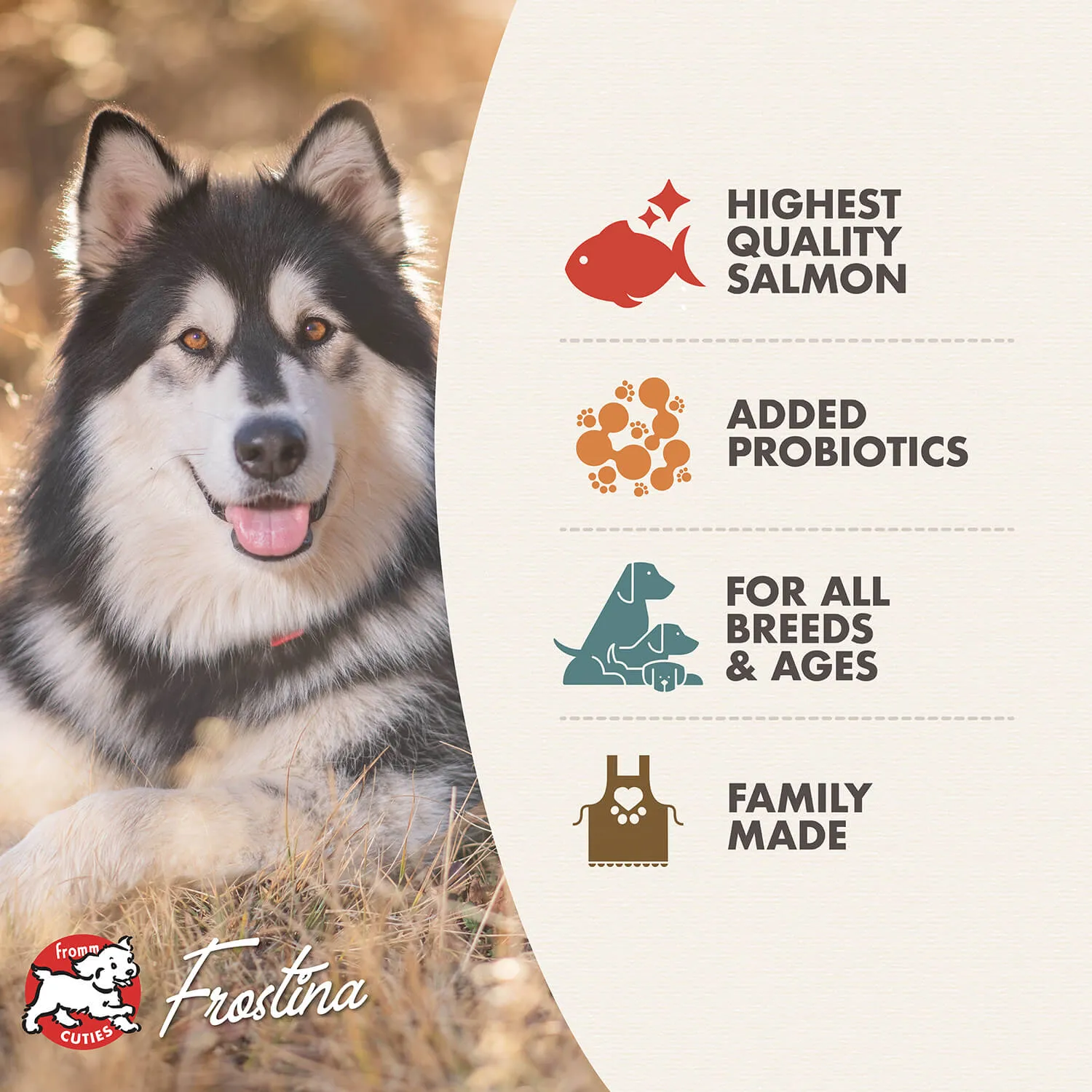 Fromm 4 Star Salmon Tunalini GF Dog Dry Food