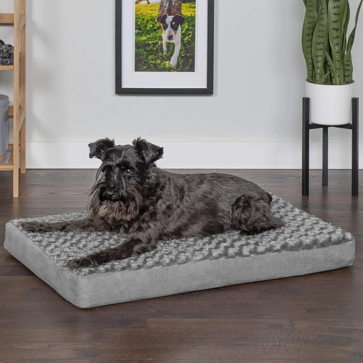 Furhaven Memory Foam Dog Bed for Medium/Small Dogs w/ Removable Washable Cover, For Dogs Up to 35 lbs - Ultra Plush Faux Fur & Suede Mattress - Gray, Medium