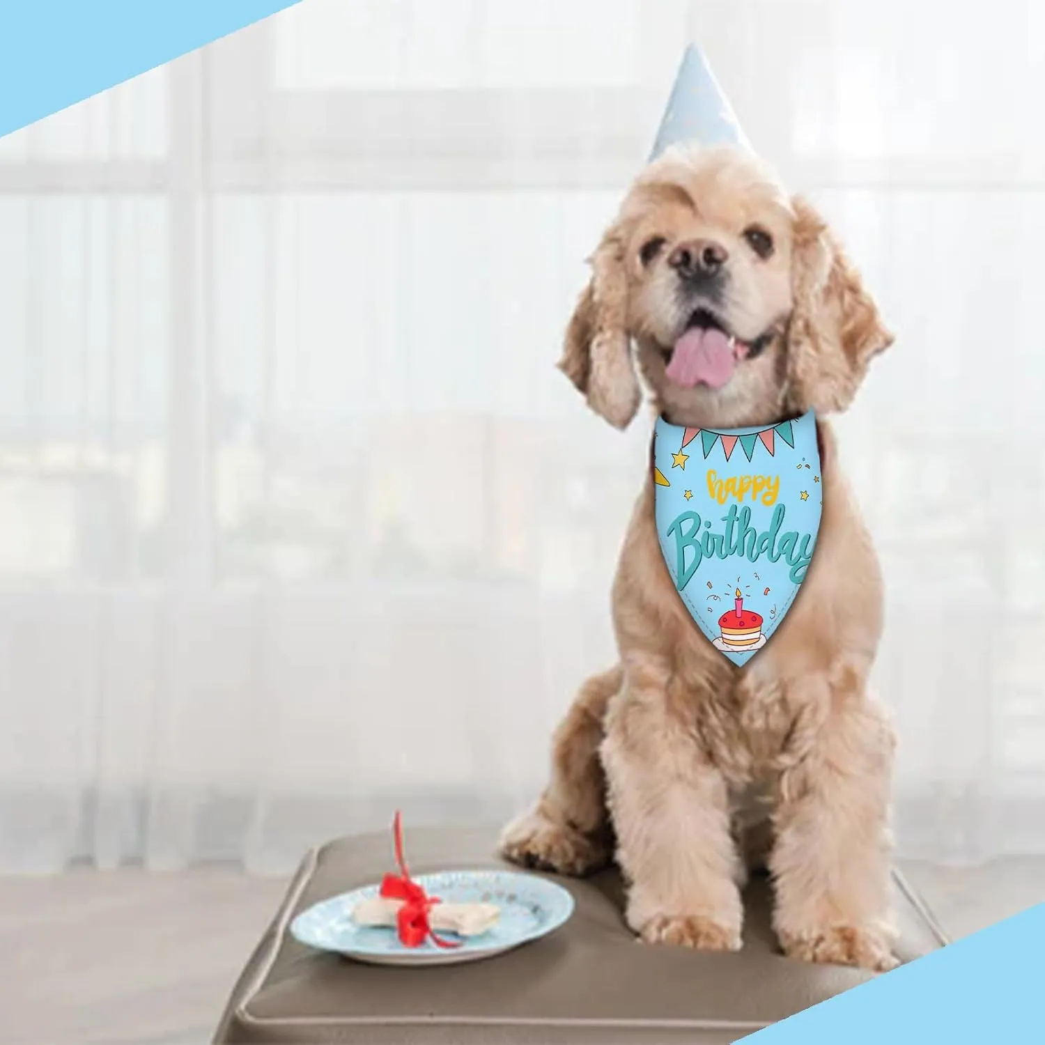 Happy Birthday Dog Bandanas 2 Packs,Blue Pet Scarf for Boys and Girls,Football Game Bandana for Small or Large or Extra Large Dogs (X-Large),Premium Durable Fabric