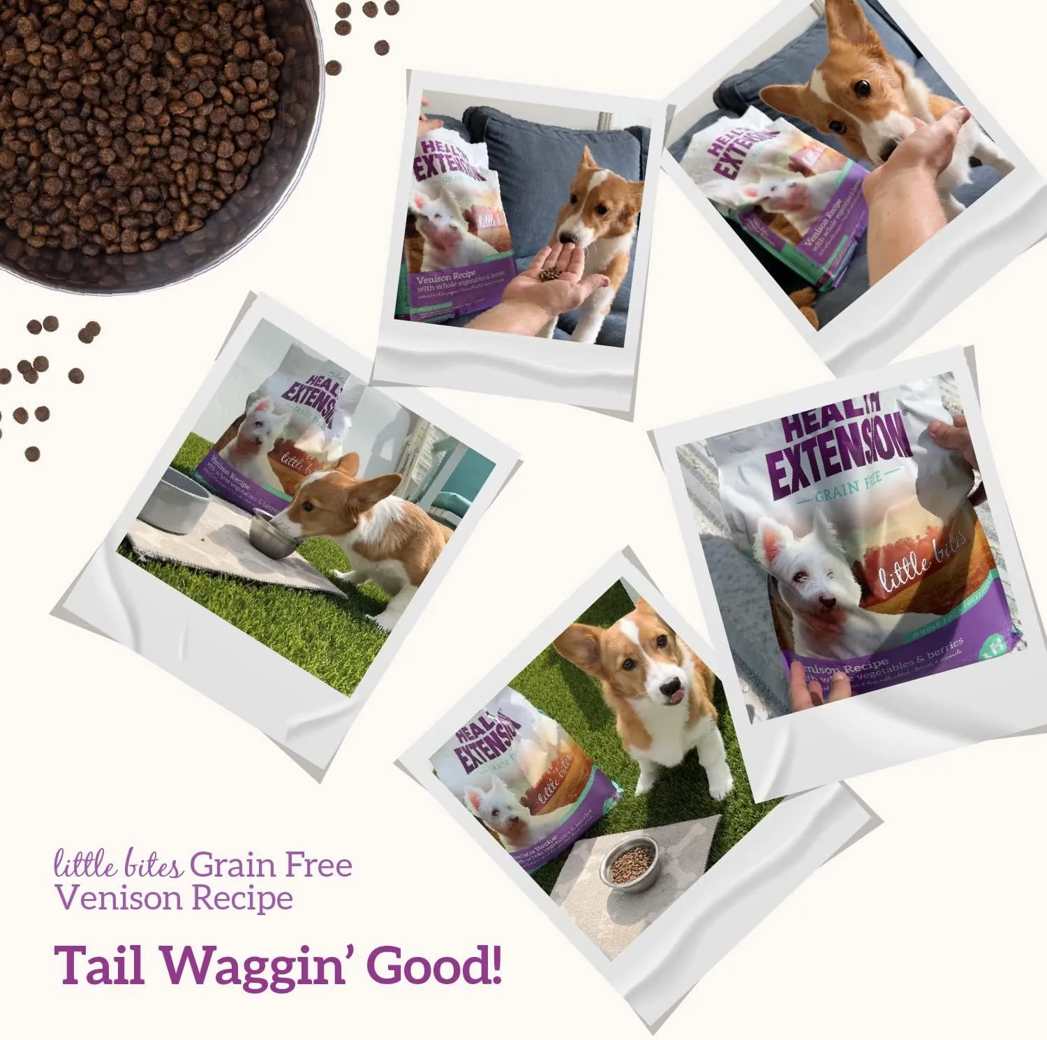 Health Extension Grain Free Venison & Sweet Potato Recipe Little Bites (3.5 lb / 1.59 kg) - Lean Protein Formula for Dogs with Poultry Allergies or Sensitive Stomachs