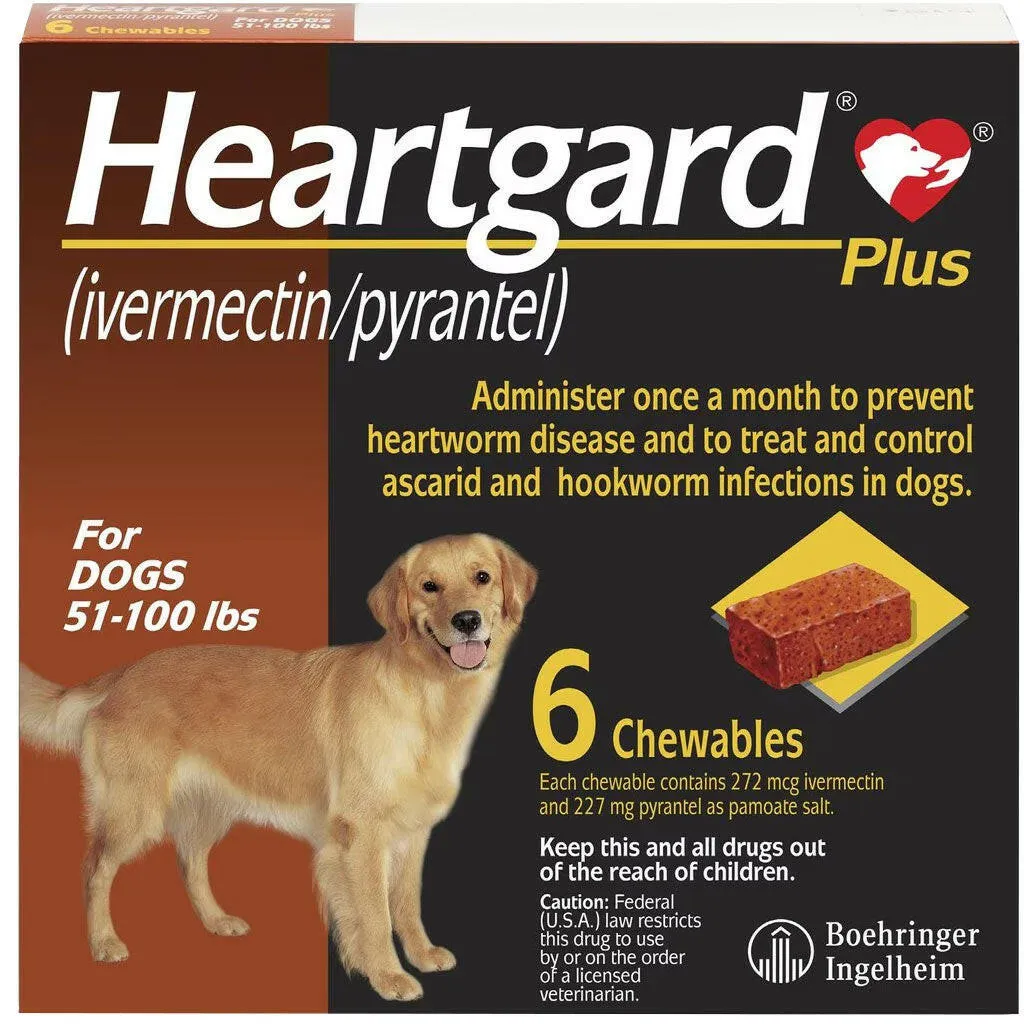Heartgard Plus Heartworm Prevention Chews for Dogs 51-100 lbs