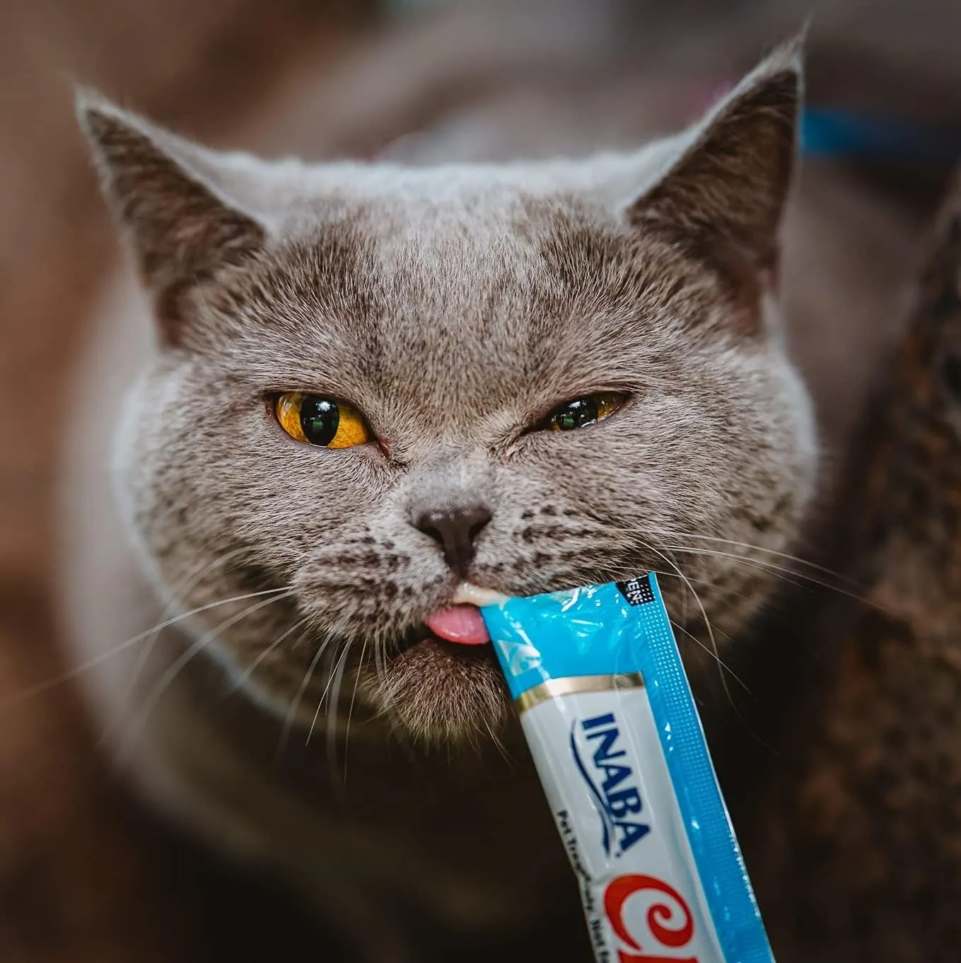 INABA Churu Cat Treats, Grain-Free, Lickable, Squeezable Creamy Pure Cat Treat/Topper with Vitamin E & Taurine, 0.5 Ounces Each Tube, 24 Tubes (4 per Pack), Chicken with Cheese Recipe