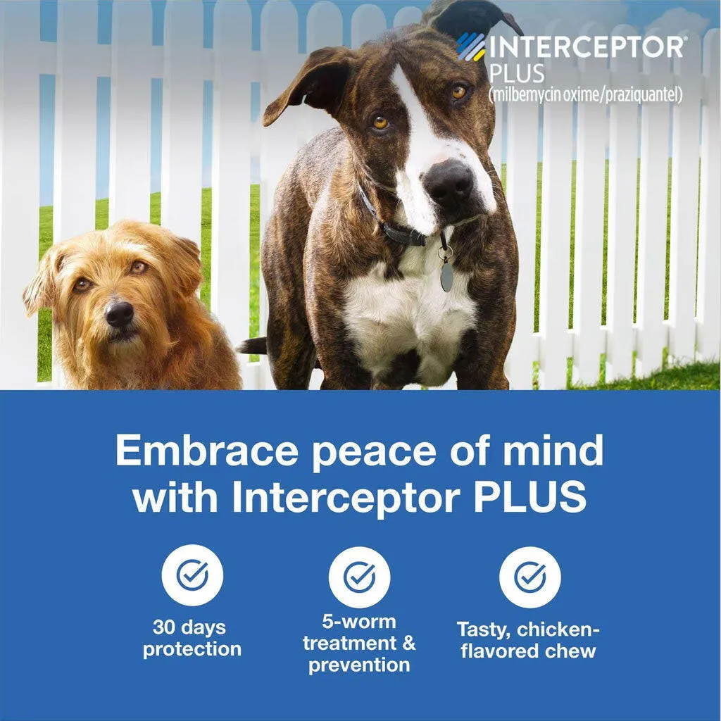 Interceptor Plus Chew for Dogs 2-8 lbs