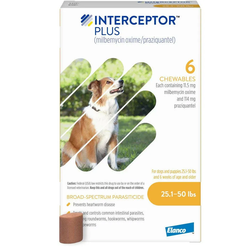Interceptor Plus Chew for Dogs 25.1-50 lbs