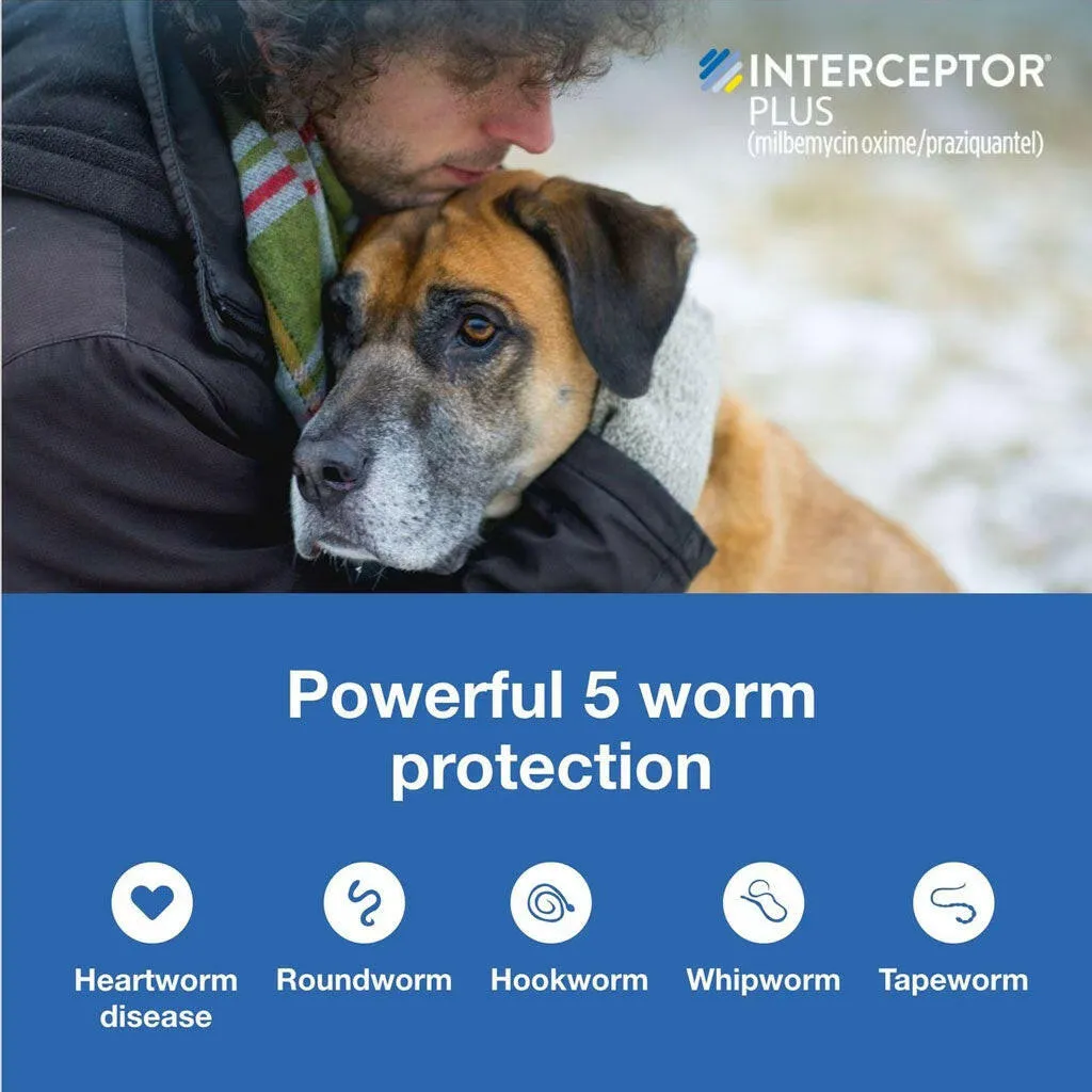 Interceptor Plus Chew for Dogs 8.1-25 lbs