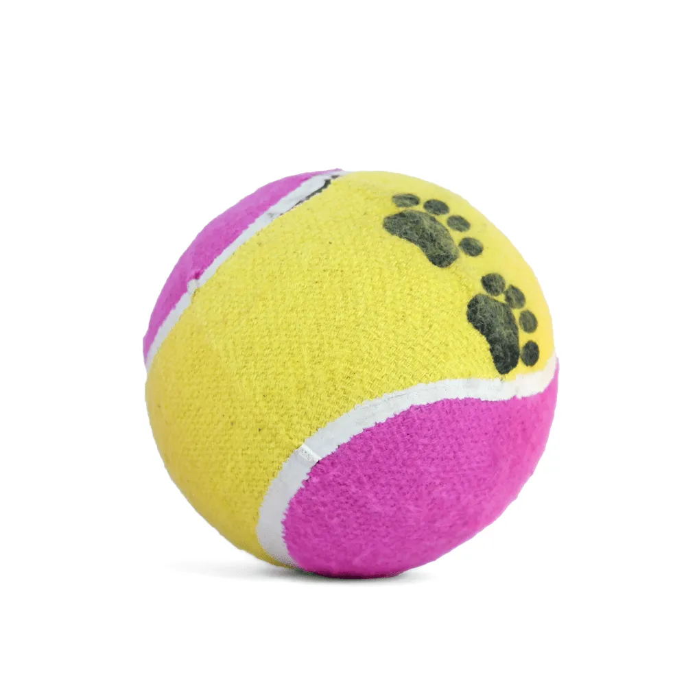 Kiki N Pooch Puppy Ball 5 in 1 Combo Rattle Ball for Dogs and Cats