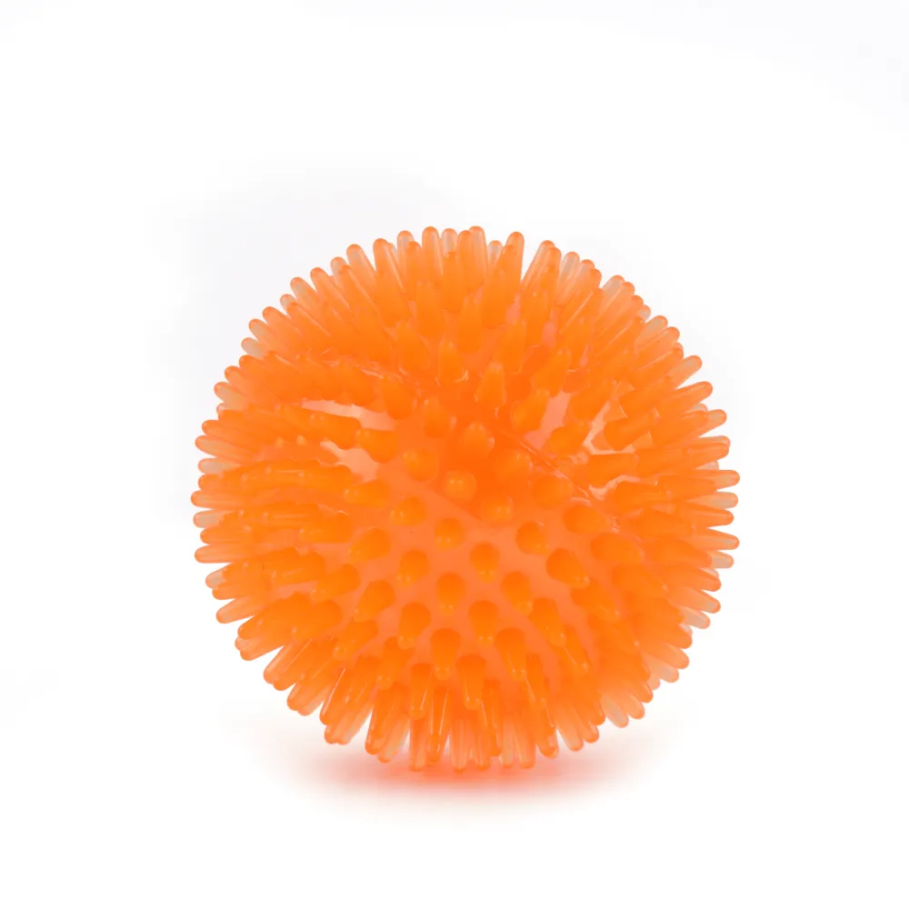 Kiki N Pooch Puppy Ball 5 in 1 Combo Rattle Ball for Dogs and Cats