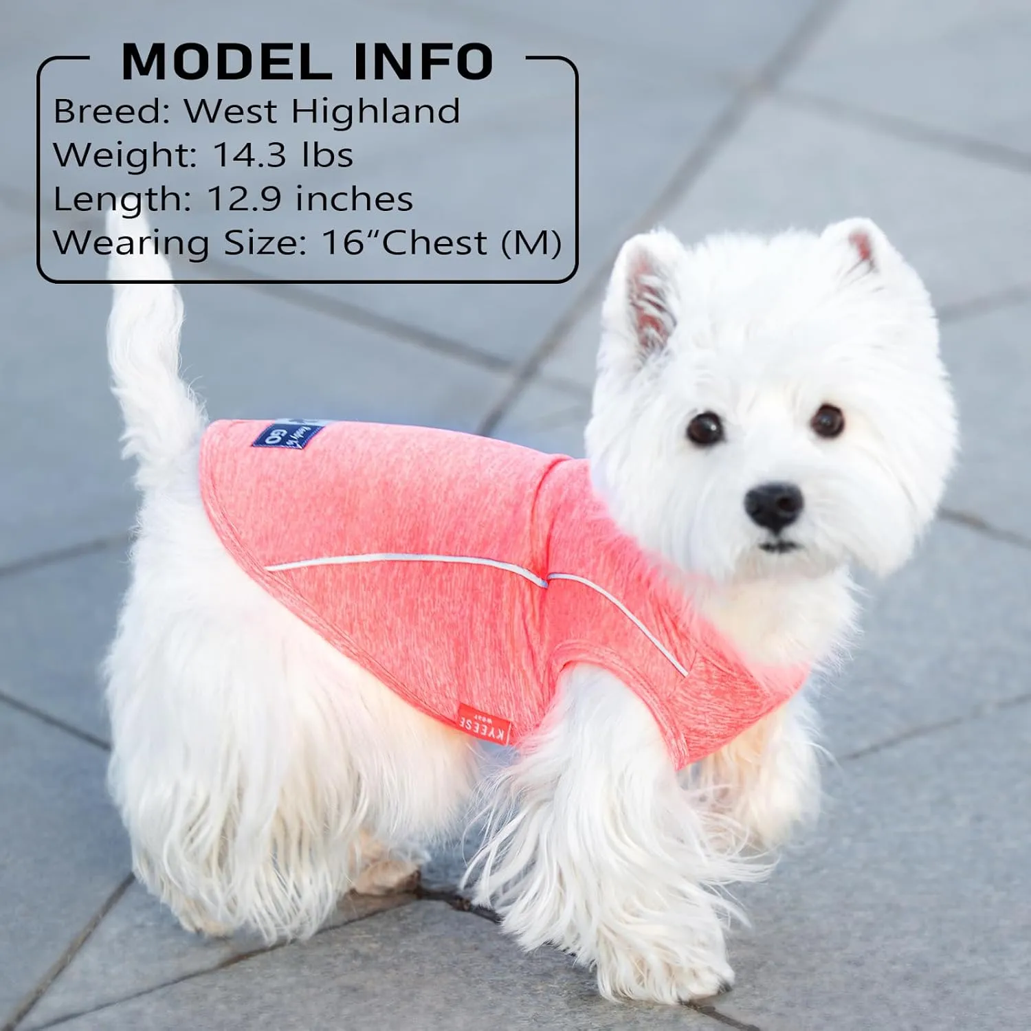 KYEESE Dog Shirts Quick Dry Reflective Lightweight Soft T-Shirt Tank Top Breathable Sleeveless Vest Stretchy Dog Apparel