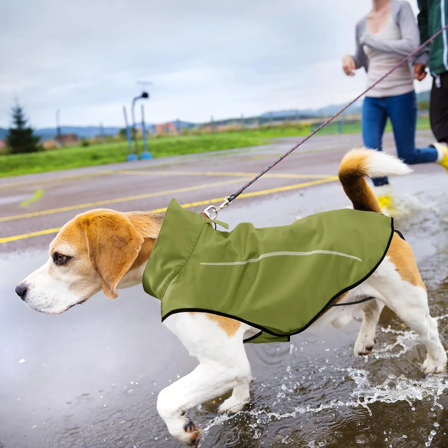 Mile High Life Dog Raincoat, Adjustable Waterproof Reflective Rain Jacket for Small Medium Large Dogs, Lightweight Breathable Pet Rain Coat with Leash Hole(Lime Yellow,S Chest 22-25")