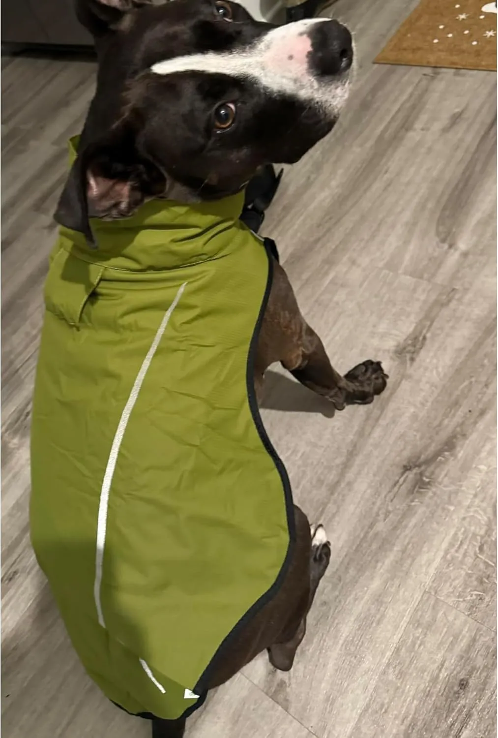 Mile High Life Dog Raincoat, Adjustable Waterproof Reflective Rain Jacket for Small Medium Large Dogs, Lightweight Breathable Pet Rain Coat with Leash Hole(Lime Yellow,S Chest 22-25")
