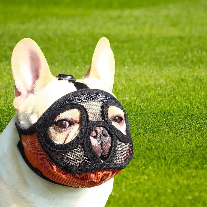 MuzzleBuddy Protection Mask