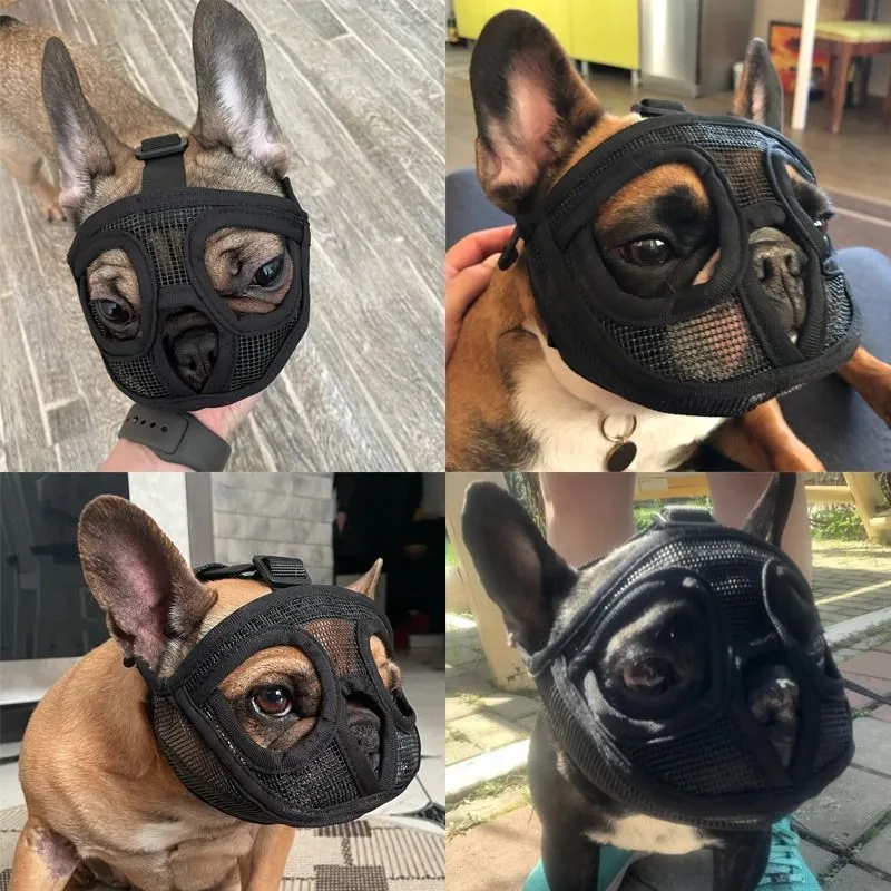 MuzzleBuddy Protection Mask