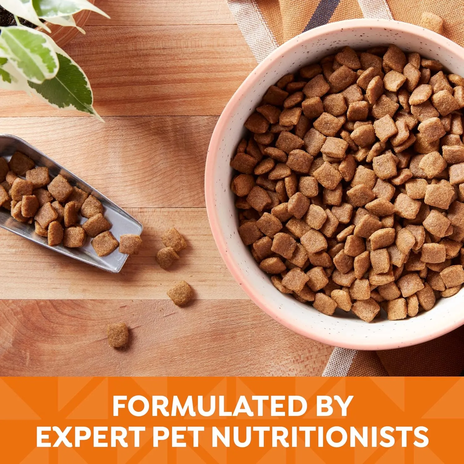 Natures Recipe Grain Free Chicken, Sweet Potato & Pumpkin Recipe Dry Dog Food, 24 lb. Bag