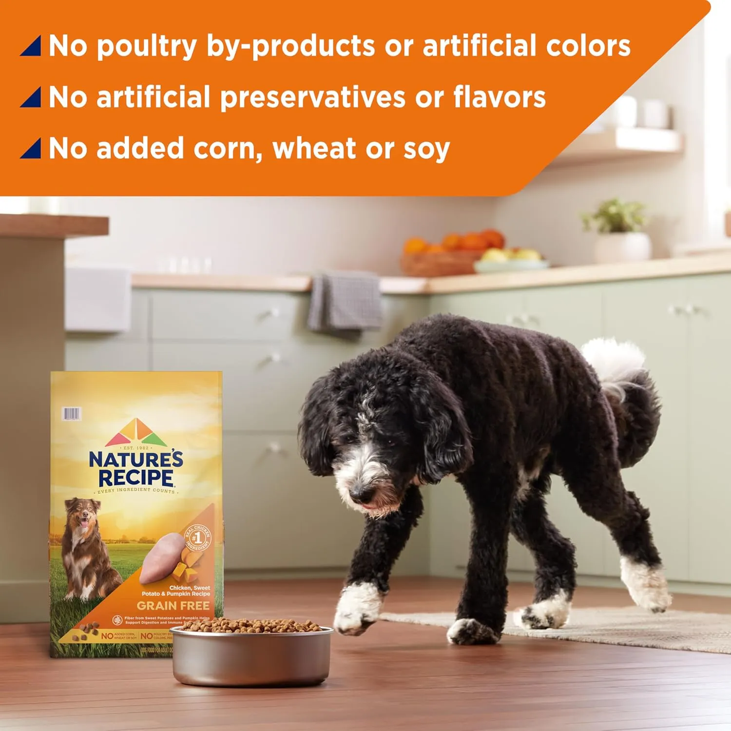 Natures Recipe Grain Free Chicken, Sweet Potato & Pumpkin Recipe Dry Dog Food, 24 lb. Bag