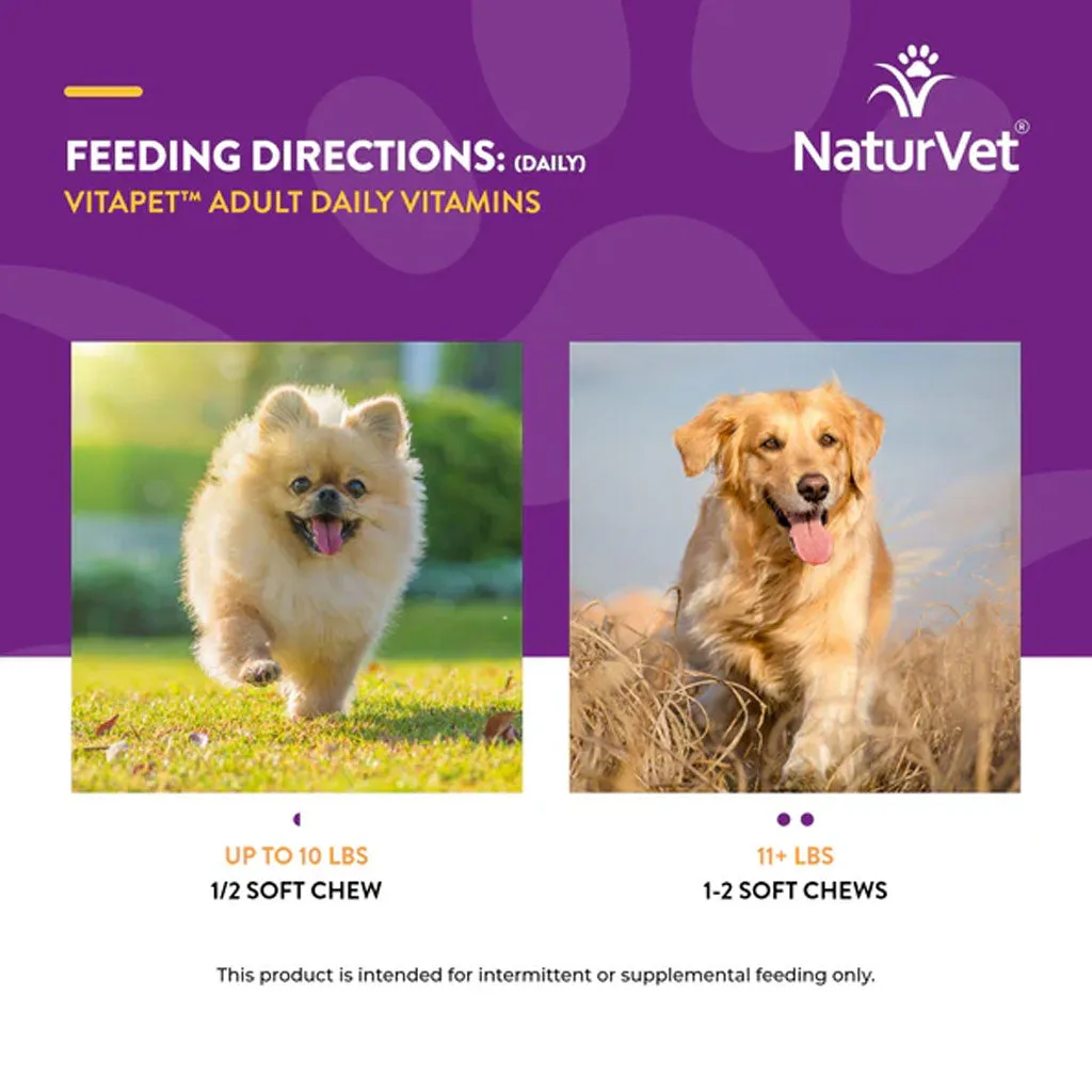 NaturVet VitaPet Adult Daily Vitamins Plus Breath Aid Soft Chews for Dogs, 60 count