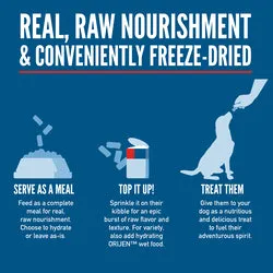 Orijen - Original, Epic Bites Freeze-Dried Dog Food