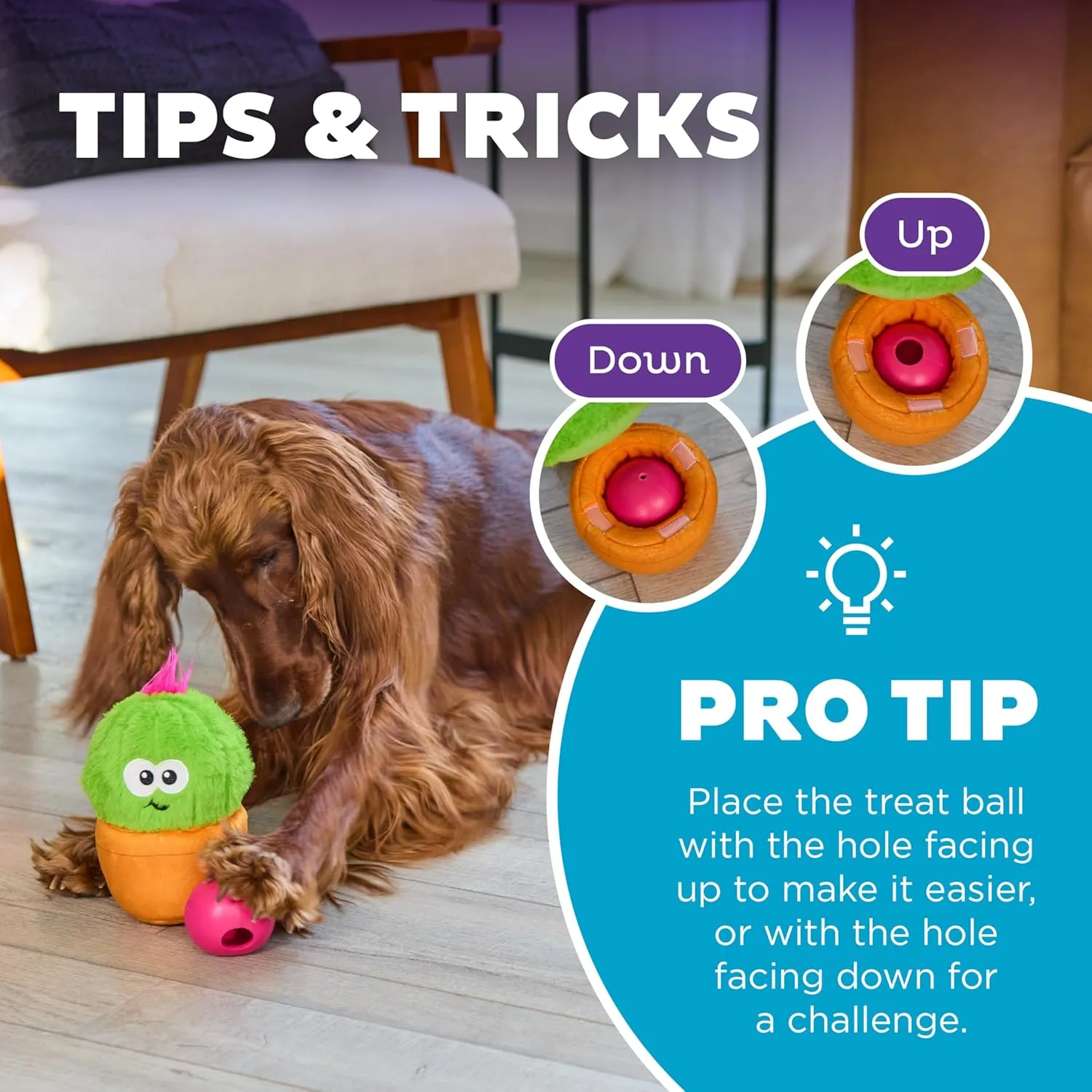 Outward Hound by Nina Ottosson Snack Palz Interactive Plush Dog Puzzle with Treat Ball, Cactus, Green