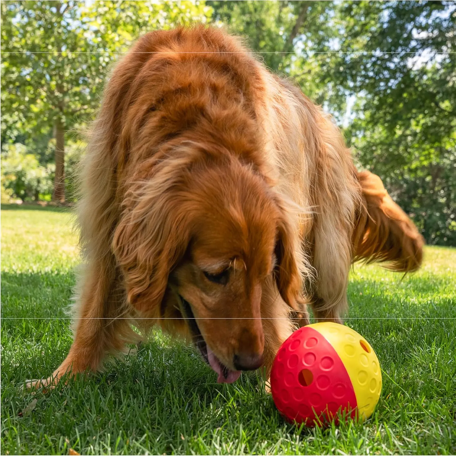 Outward Hound by Nina Ottosson Treat Tumble Interactive Puzzle Ball Dog Toy, Level 1 Beginner, Pink, Large