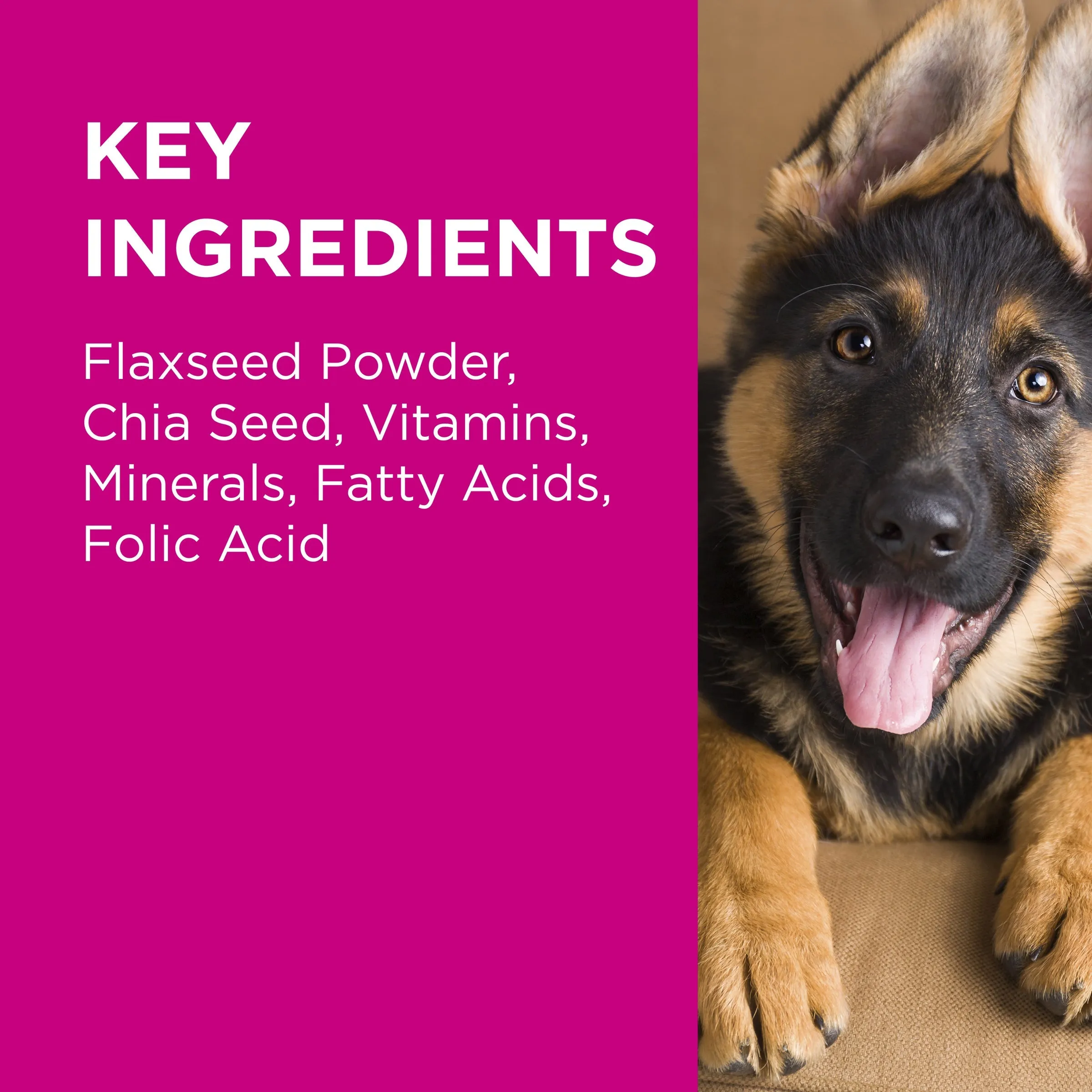 PAW by Blackmores Coat, Skin and Nails Chews for Dogs 300g^^^