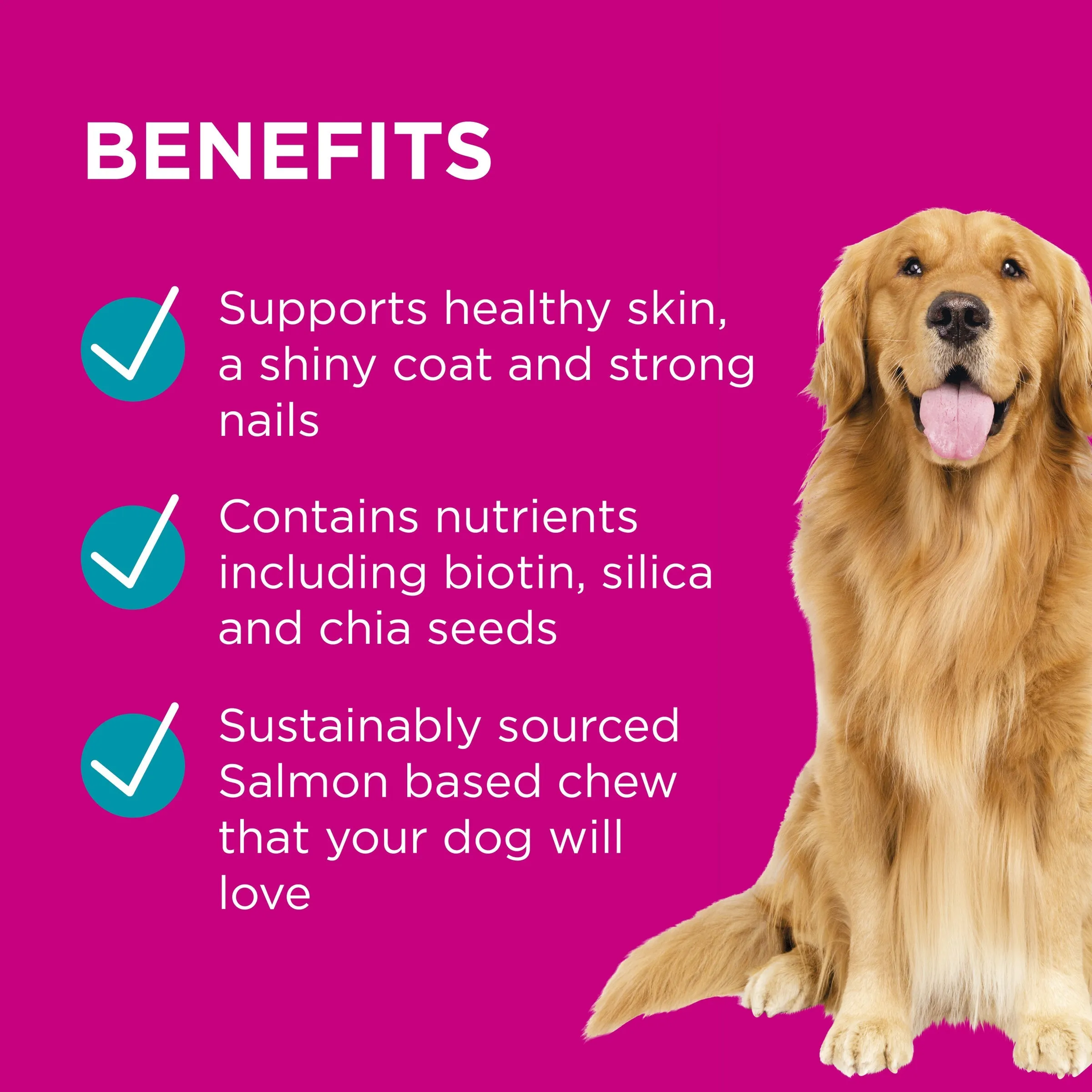 PAW by Blackmores Coat, Skin and Nails Chews for Dogs 300g^^^