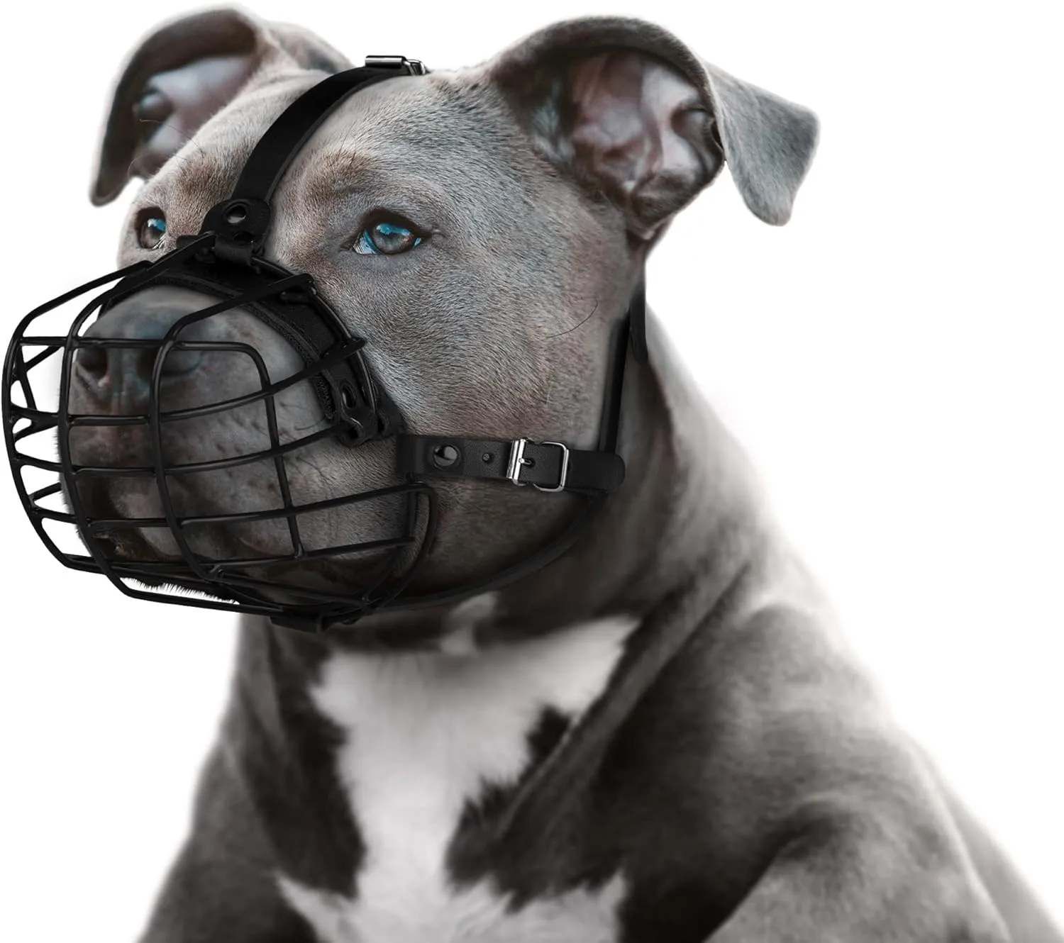 Pitbull Dog Muzzle Metal Mask Amstaff Secure Wire Basket Adjustable Durable Leather Straps for Large Dogs (Large, Black)
