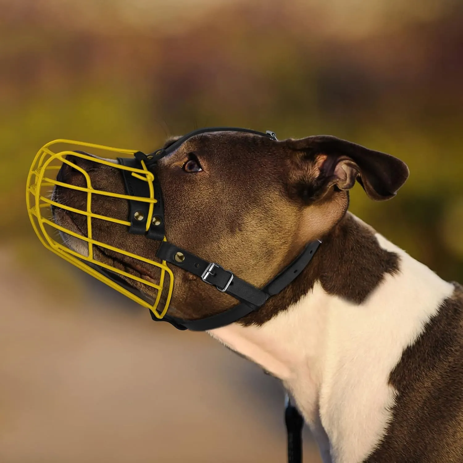 Pitbull Dog Muzzle Metal Mask Amstaff Secure Wire Basket Adjustable Durable Leather Straps for Large Dogs (Large, Black)