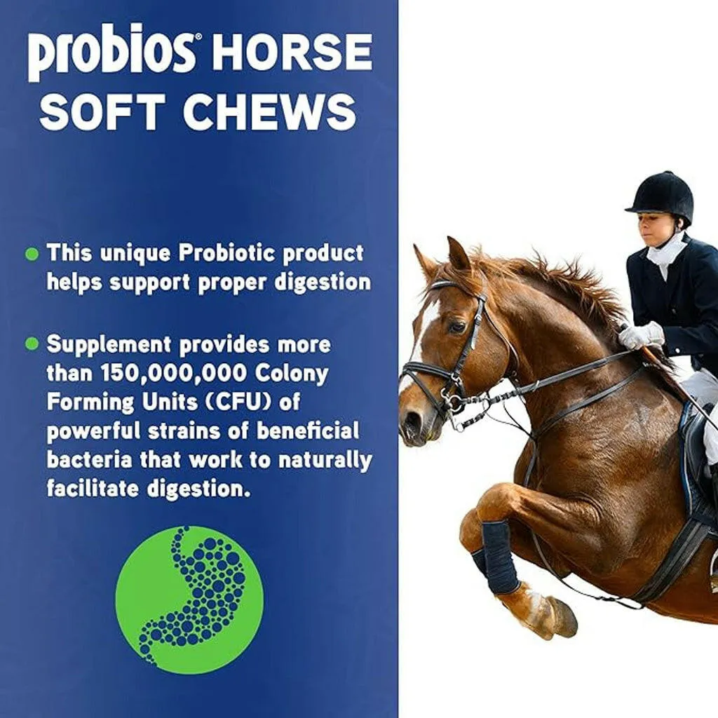 Probios Digestive Support Soft Chews for Horses (1.32 lbs)