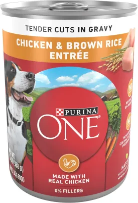 Purina ONE Tender Cuts in Wet Dog Food Gravy Chicken and Brown Rice Entree - (Pack of 12) 13 oz. Cans