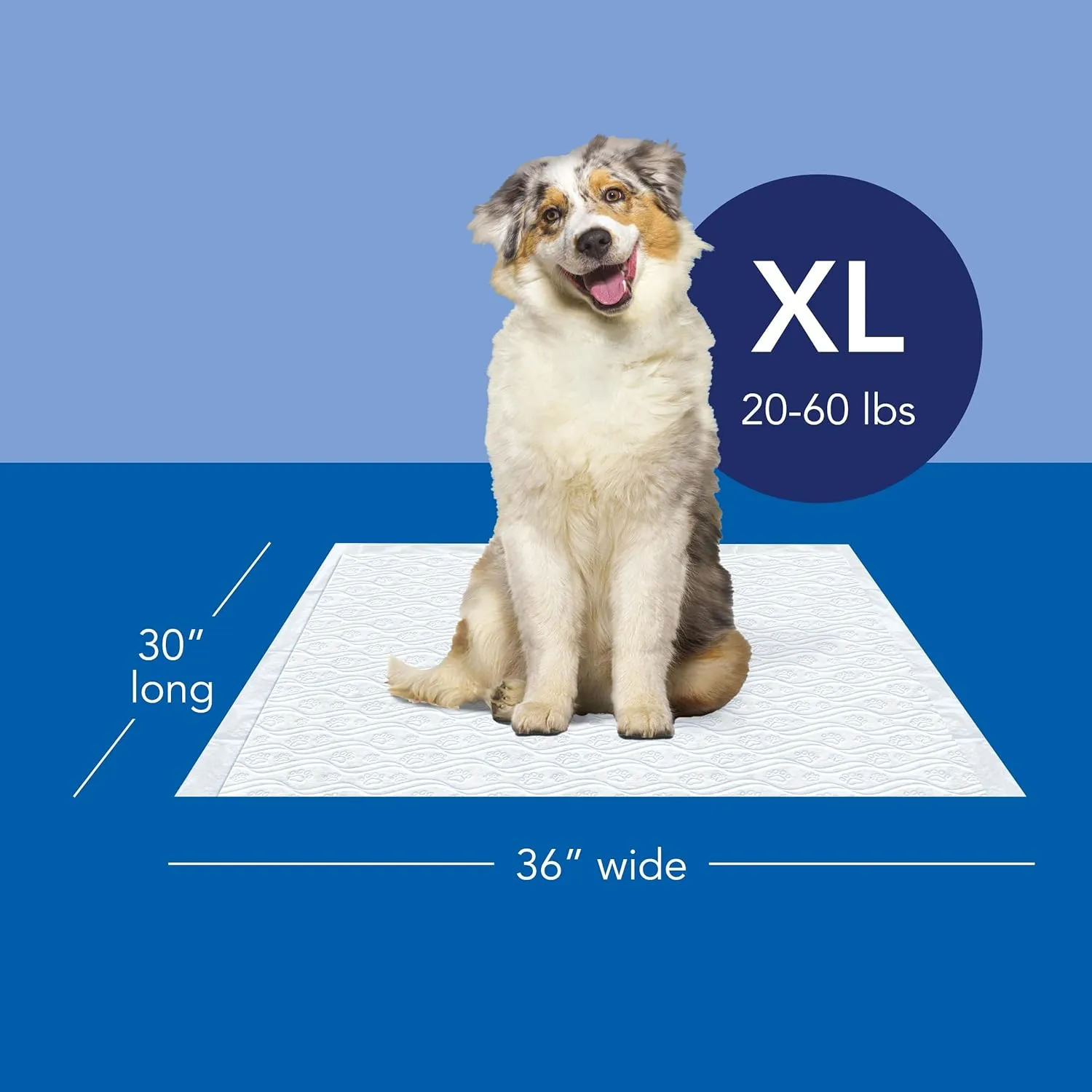 Scott Pet Guard Dog Pads - Medium & Large Dog Training Pee Pads - Up to 12 Hour Absorbent Odor Control - Easily Disposable - Size XL - 30" x 36" - 20 Pack