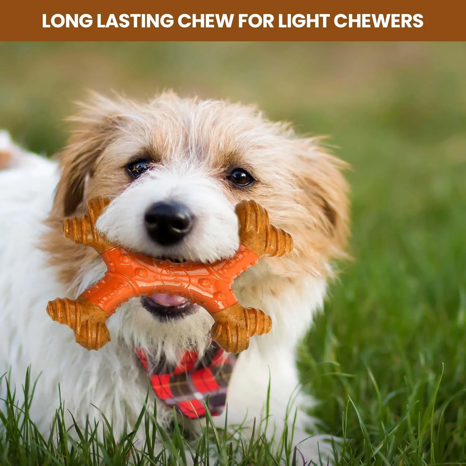 SPOT Bam-Bones Dental X-Bone - Made with Bamboo Fiber and a Massaging Rubber Center, Durable Oral Care Dog Chew for Light Chewers & Teething Puppies under 25lbs, 6in Allergen Free Peanut Butter Flavor