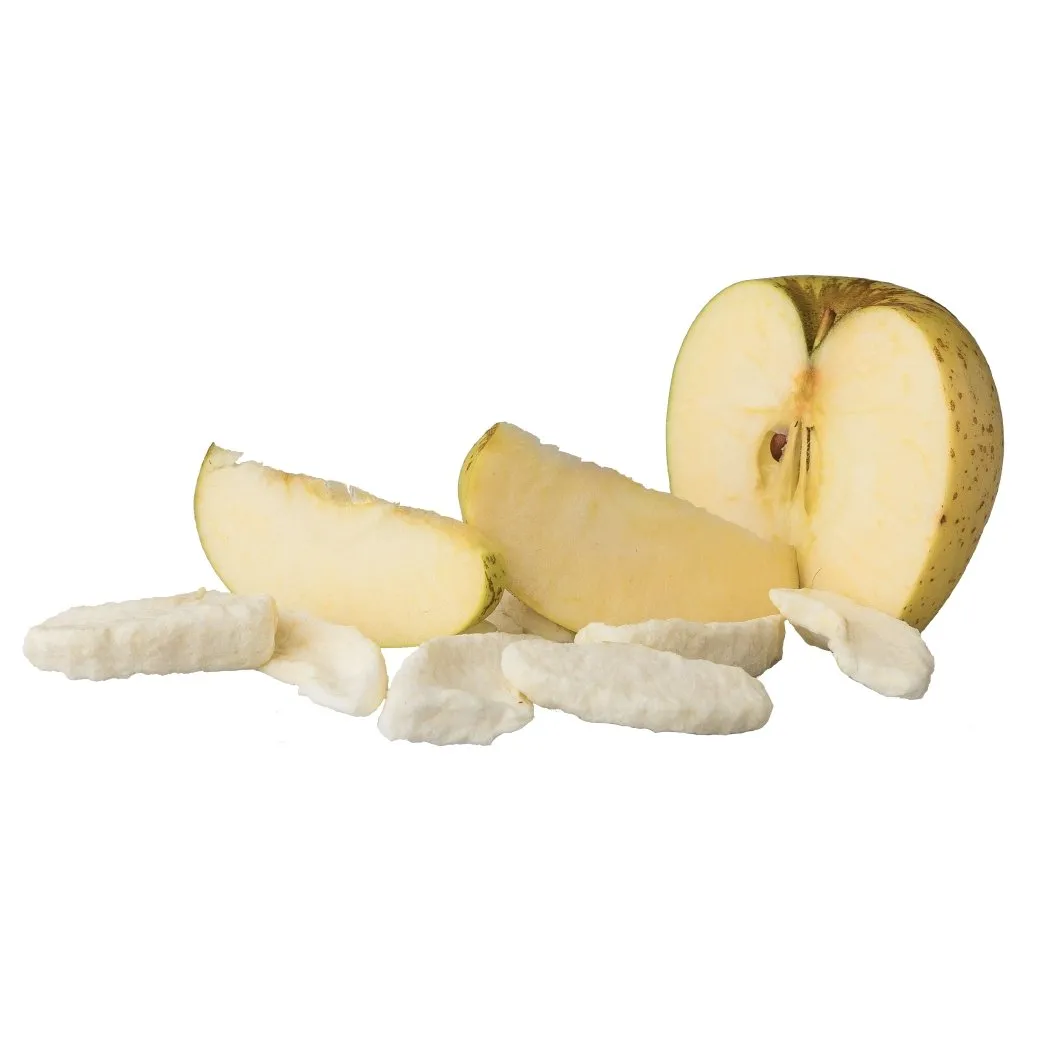The Rotten Fruit Box Freeze Dried Apple Snack Pouch