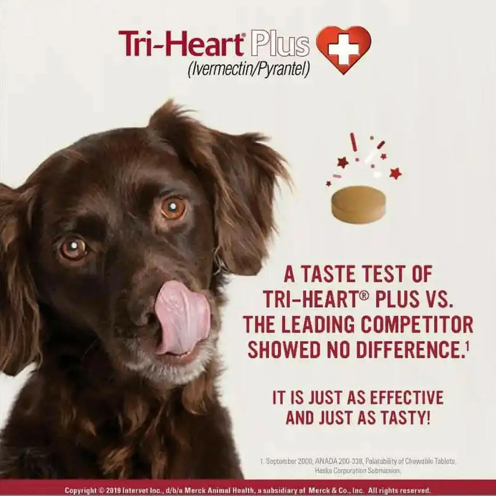 Tri-Heart Plus for Dogs up to 25lbs