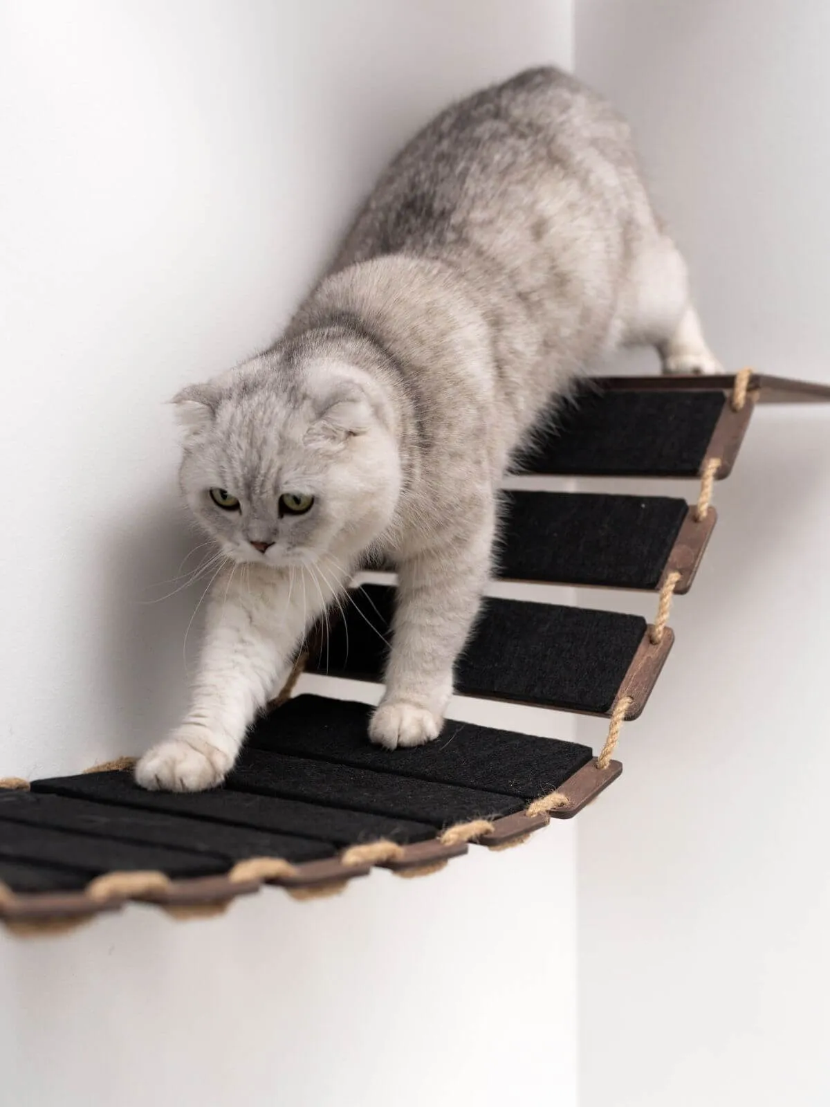Wall Cat Walk Black