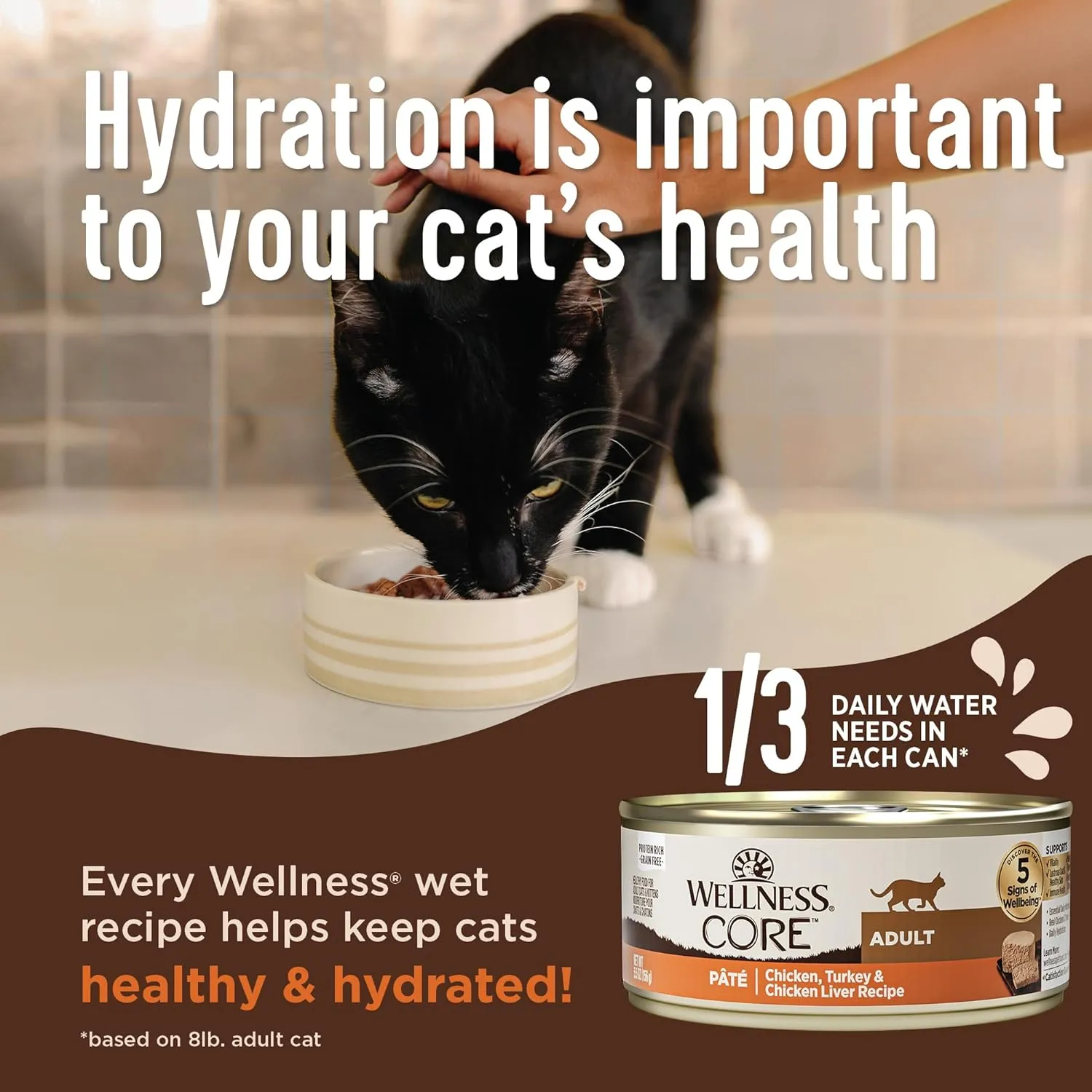 Wellness CORE  Healthy Weight Pate Adult Wet Cat Food, Natural, Protein-Rich, Grain Free, 2.8 Ounce, 12 Pack (Chicken & Tuna)