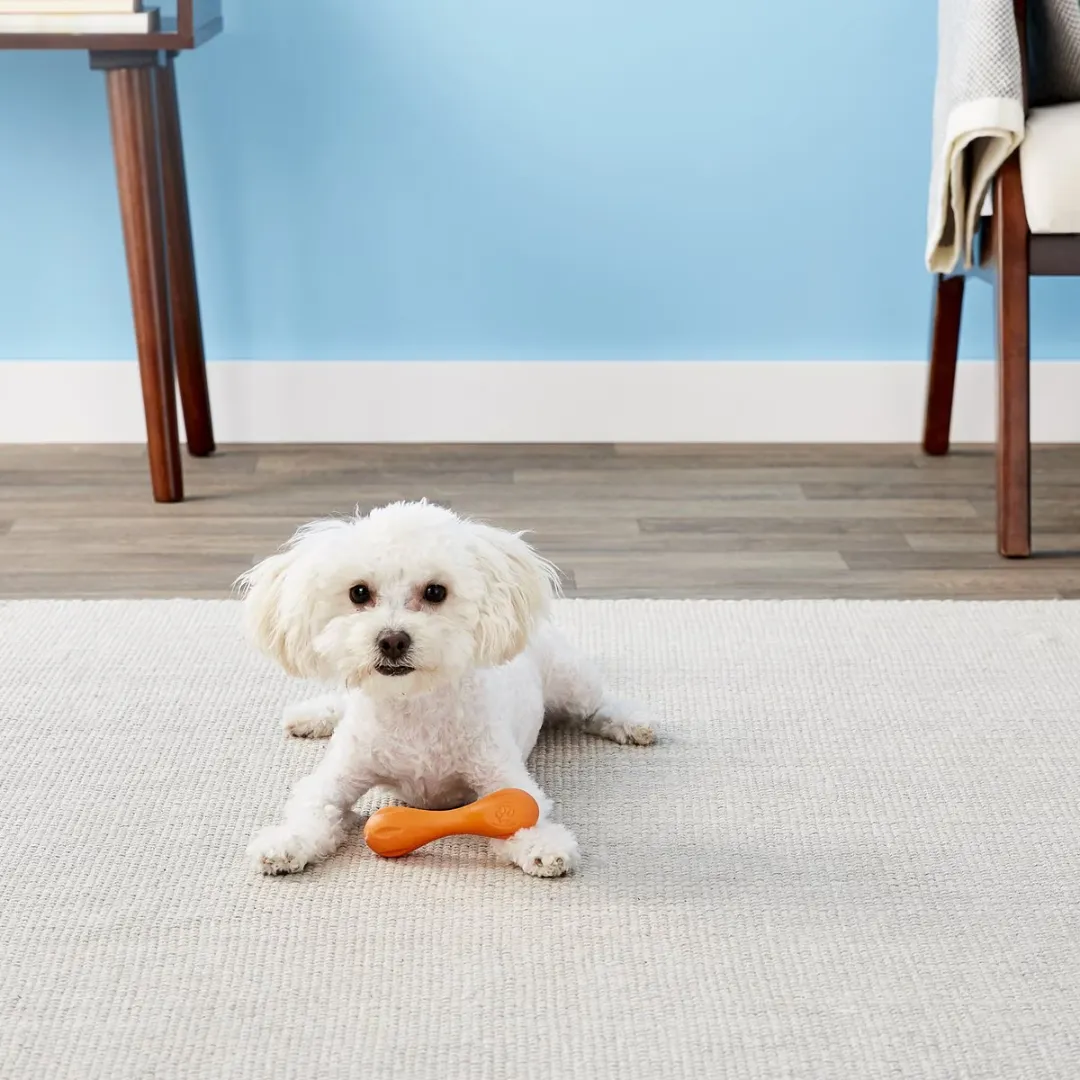 West Paw Zogoflex Hurley Tough Dog Chew Toy