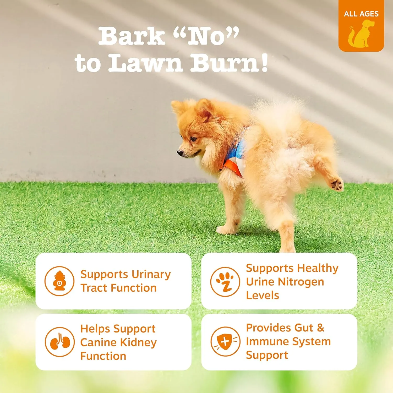 Zesty Paws Stay Green Bites for Dogs - Grass Burn Soft Chews for Lawn Spots Caused by Dog Urine - with Cranberry for Urinary Tract & Bladder - Beef - 90 Count