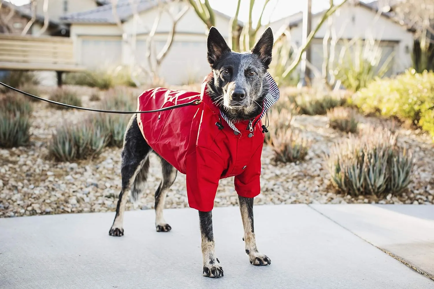 Zip Up Dog Raincoats with Reflective Buttons, Pockets, Rain/Water Resistant, Adjustable Drawstring, & Removable Hood - XXS to XXL - Stylish Premium Dog Raincoats (Red, Large)